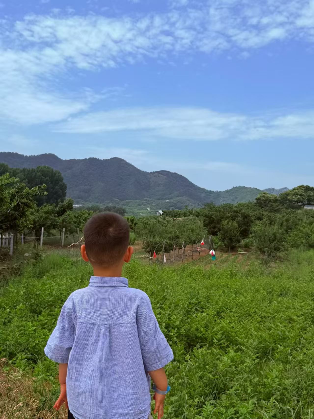 2026年5月 · 去拥抱自然